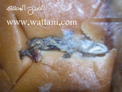 user posted image