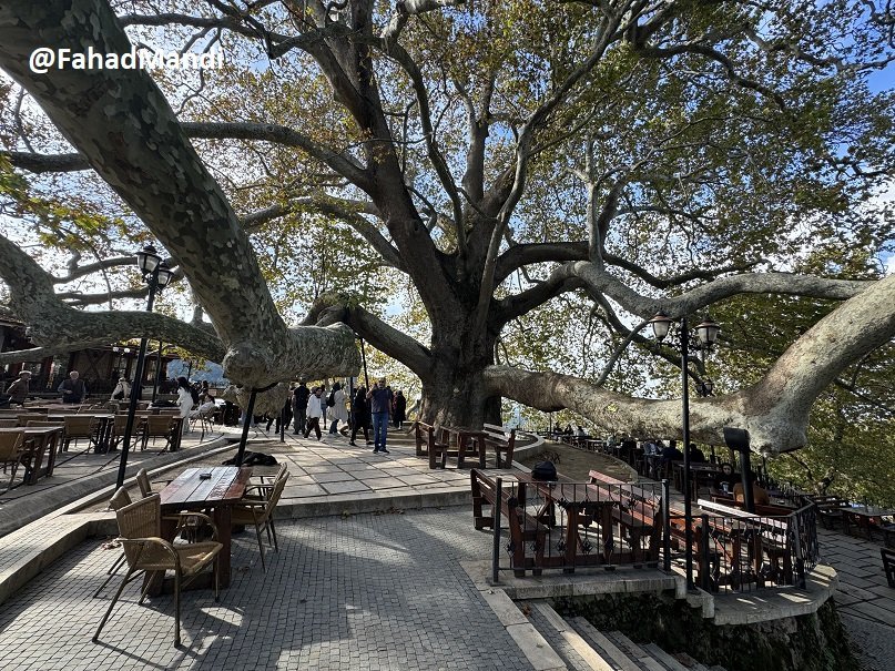 large.2023-11-0314_04_28.jpg