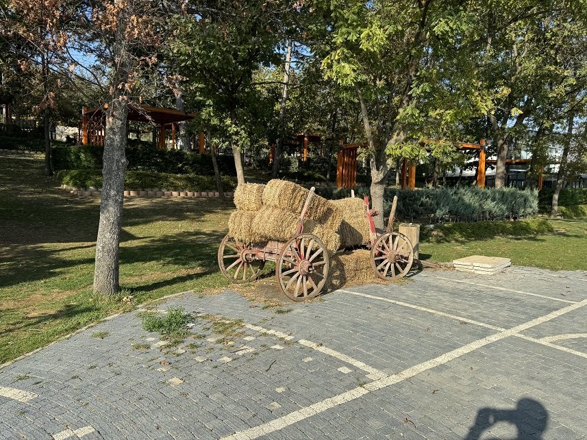 large.2023-11-0714_58_19.jpg