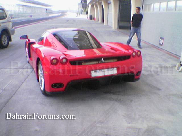 651-Ferrari-enzo.jpg