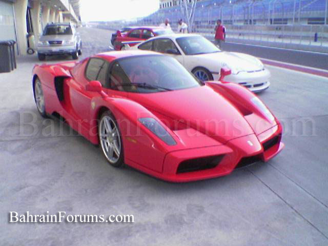 651-Ferrari-enzo1.jpg